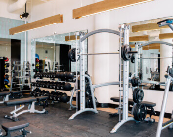 Sabio's gym